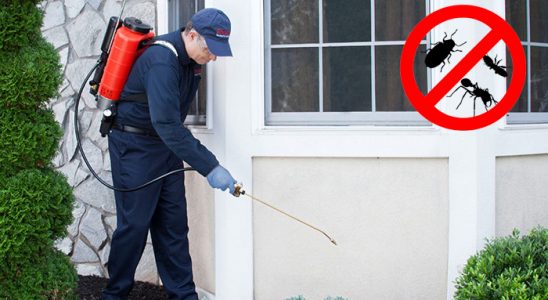 Korkuteli Tahtakurusu İlaçlama böcek ilaçlama ve haşere kontrolü — ilaclama-tr.com